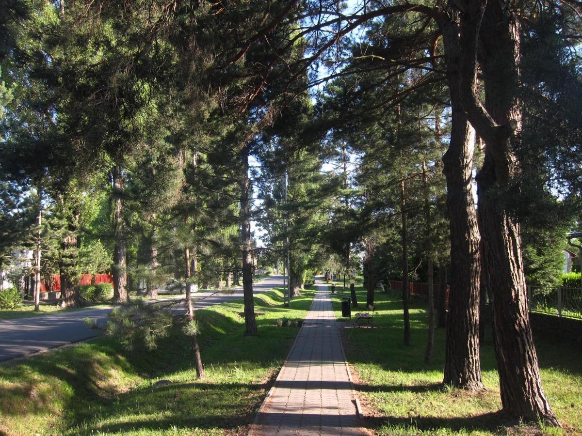 Tutijo Haziko Villa Balatonfenyves Exteriör bild